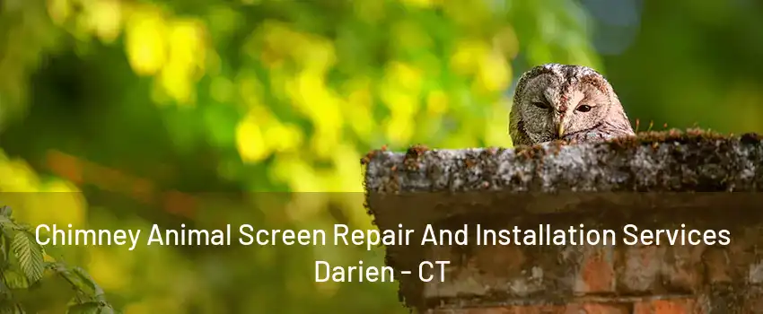 Chimney Animal Screen Repair And Installation Services Darien - CT