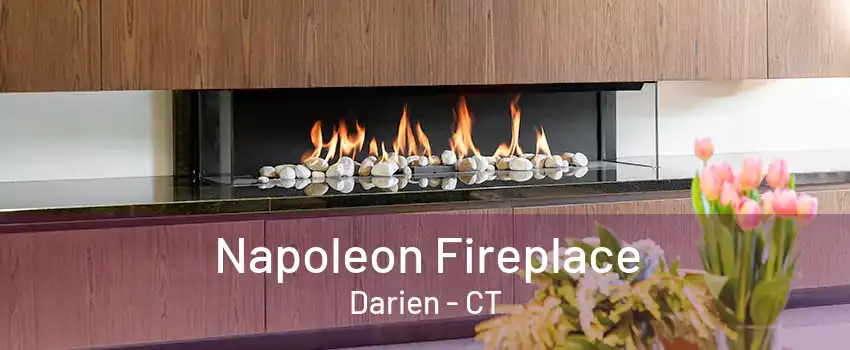 Napoleon Fireplace Darien - CT